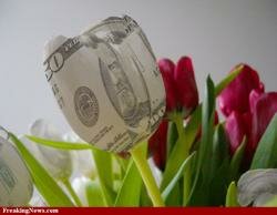 Цветок тюльпана из долларовой банкноты